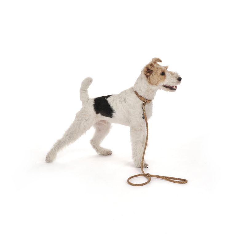 Mungo & Maud Plaited Leather Dog Collar - Image 3