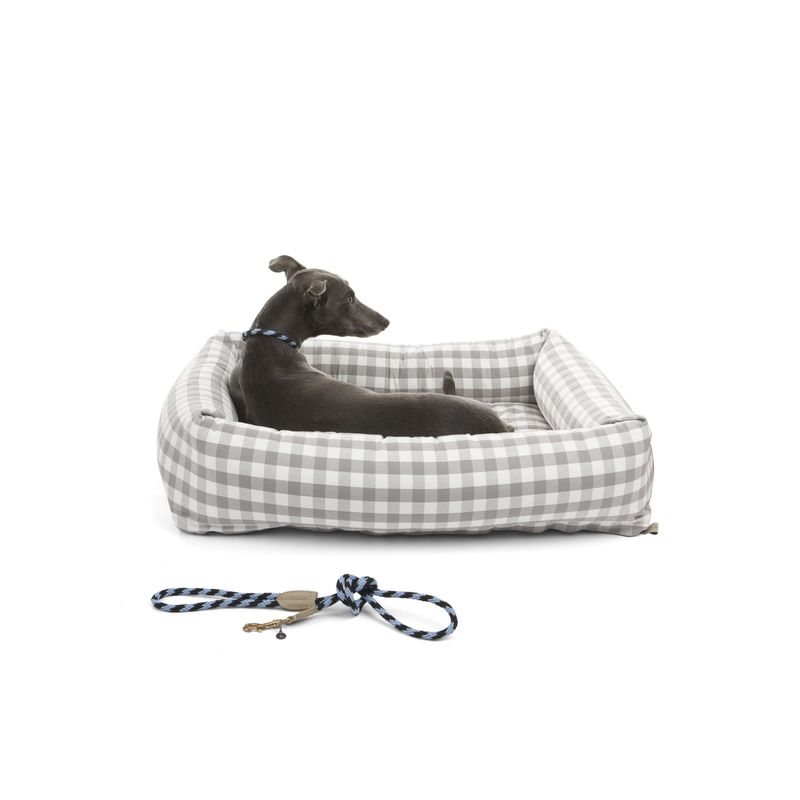 Mungo & Maud Rock Candy Rope Dog Collar - Image 3