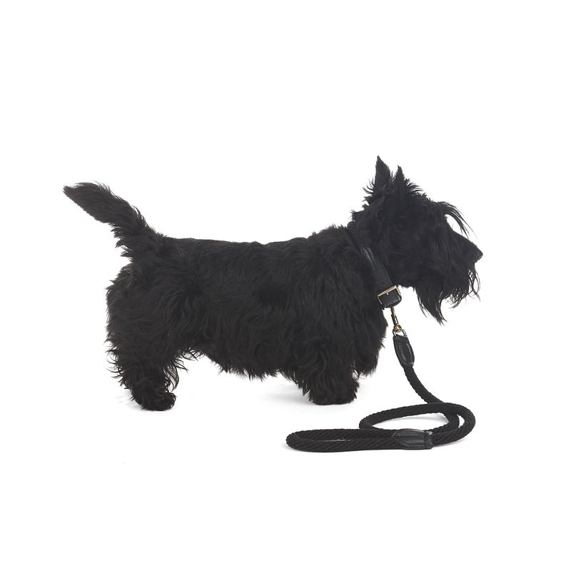 Mungo & Maud Rope Dog Collar - Image 3