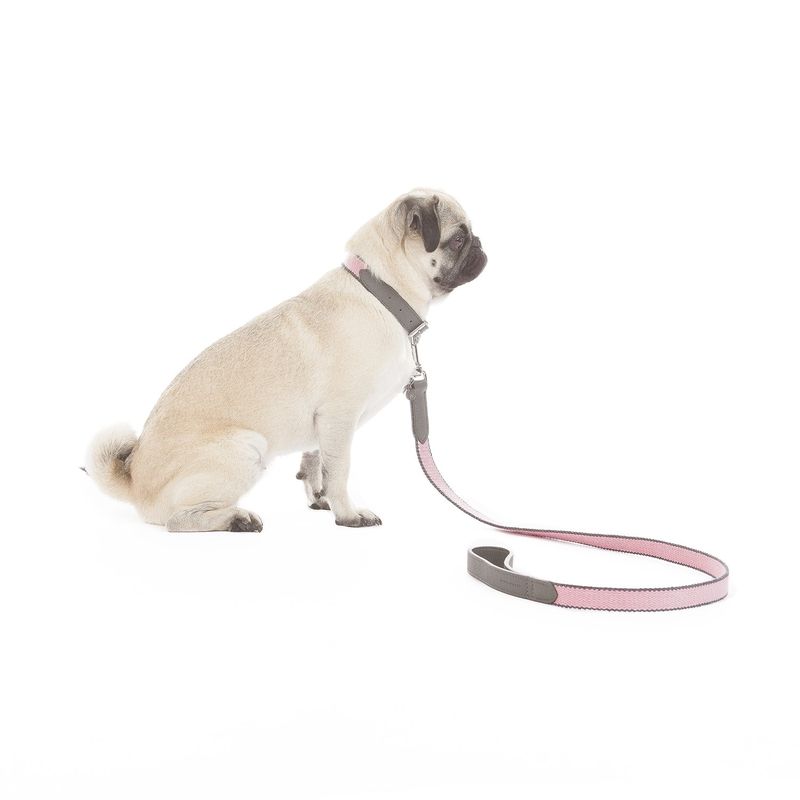 Mungo & Maud Preppy Dog Collar - Image 3