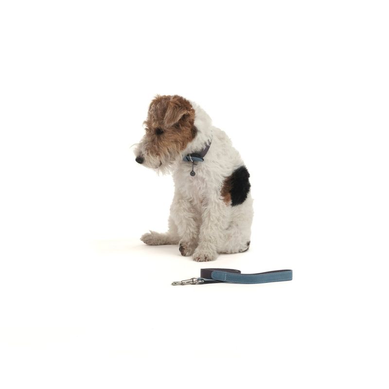 Mungo & Maud Baseball Dog Lead - Image 3