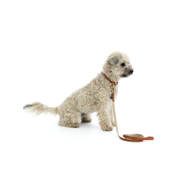 Mungo & Maud Bonbon Dog Lead - Image 3