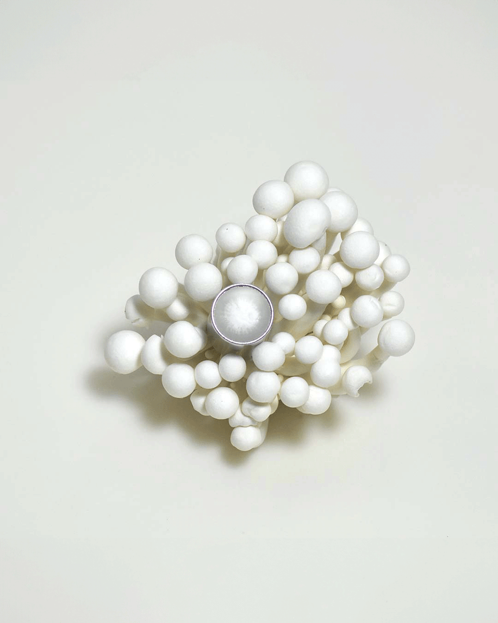 SEMINALIS | Orto Parisi 향수 - Image 4