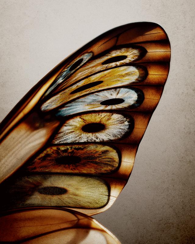 RISVELIUM | Orto Parisi 향수 - Image 4