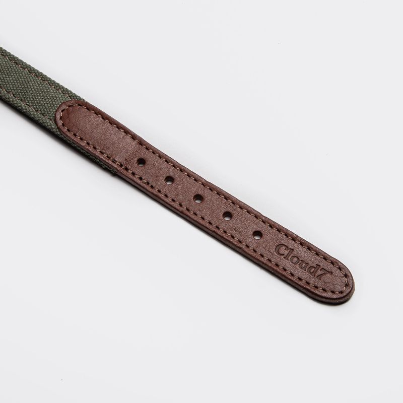 Cloud7 Dog Collar Tivoli Olive - Image 4