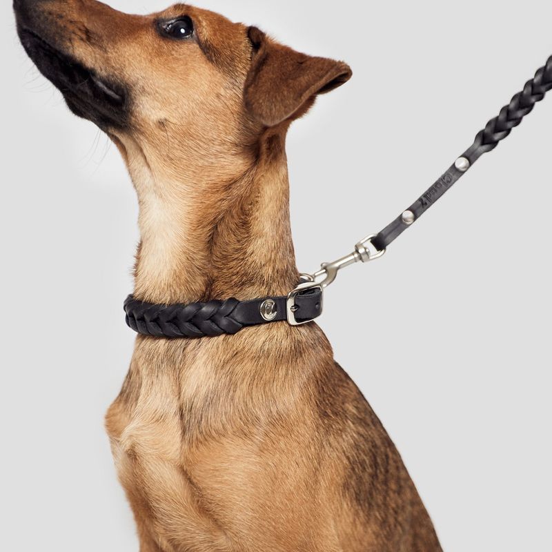 Cloud7 Dog Collar Central Park Black Silver - Image 4
