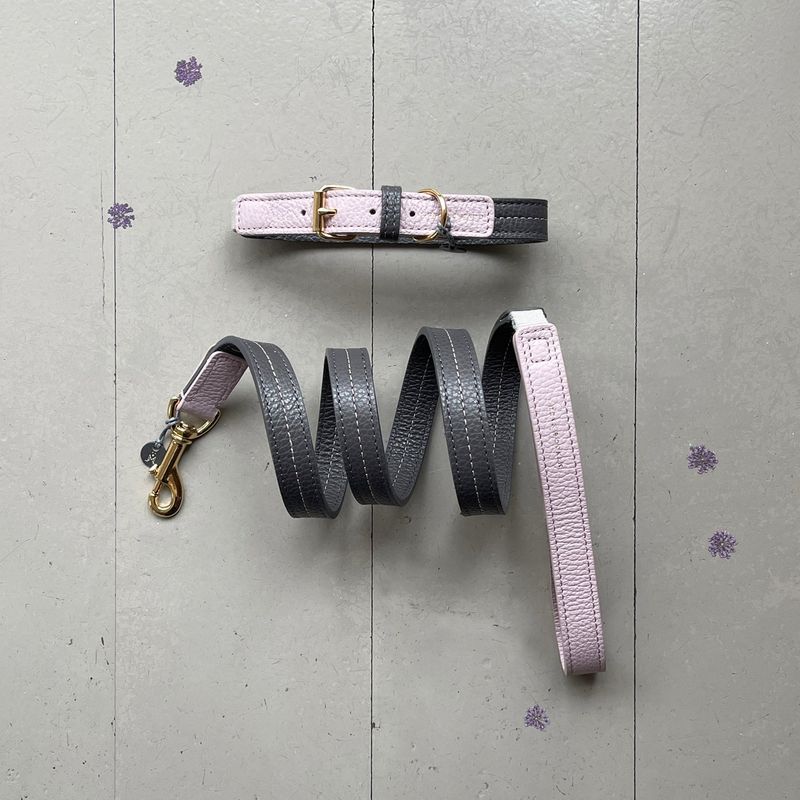 Mungo & Maud Bauhaus Dog Collar - Image 4