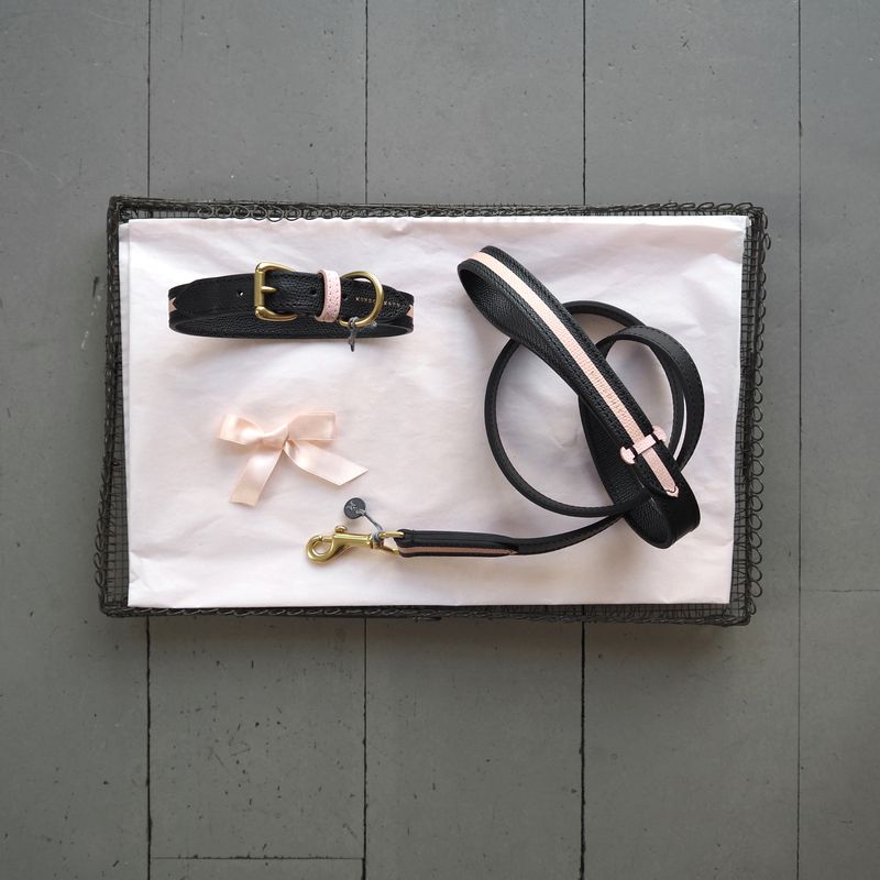 Mungo & Maud Torino Dog Collar - Image 4