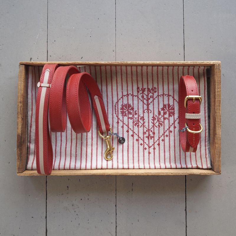 Mungo & Maud Torino Dog Collar - Image 4