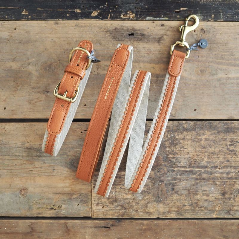 Mungo & Maud Bonbon Dog Collar - Image 4