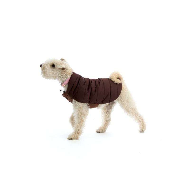 Mungo & Maud Bauhaus Dog Collar - Image 4