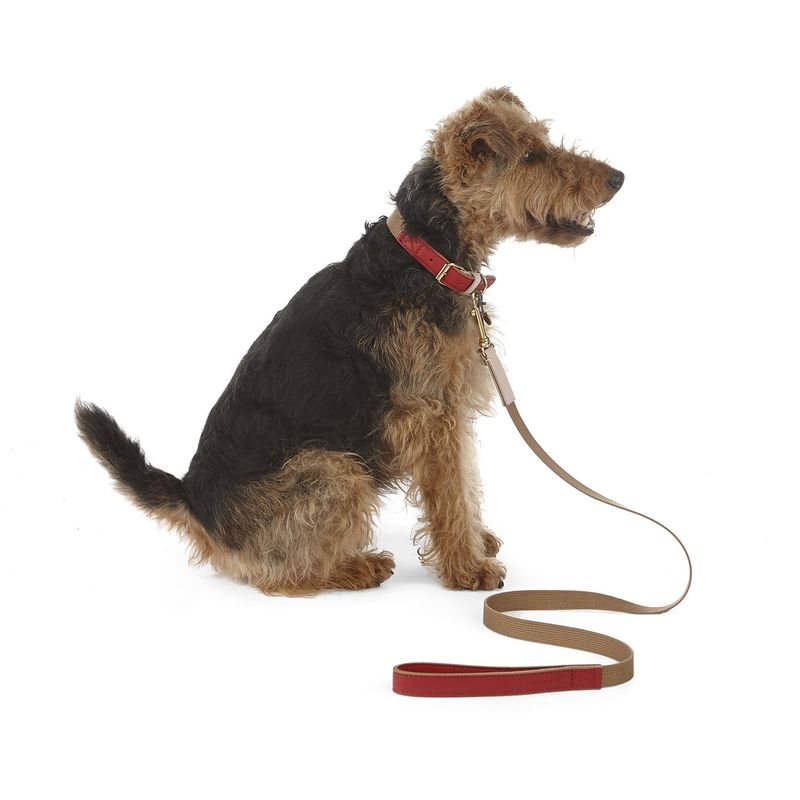 Mungo & Maud Amalfi Dog Collar - Image 4