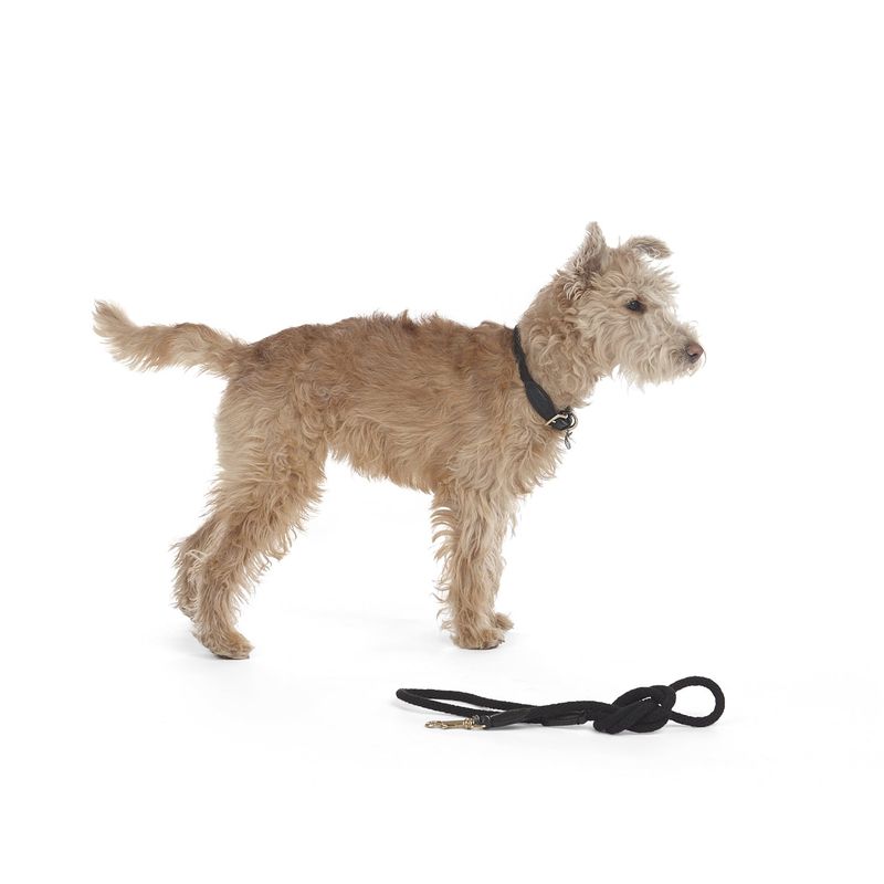 Mungo & Maud Rope Dog Collar - Image 4
