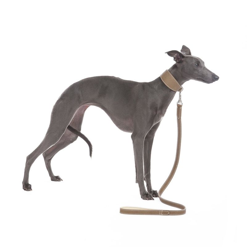 Mungo & Maud Medici Dog Collar - Image 4