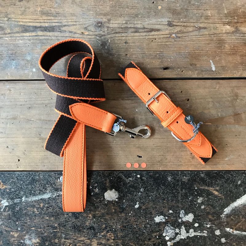 Mungo & Maud Preppy Dog Collar - Image 4