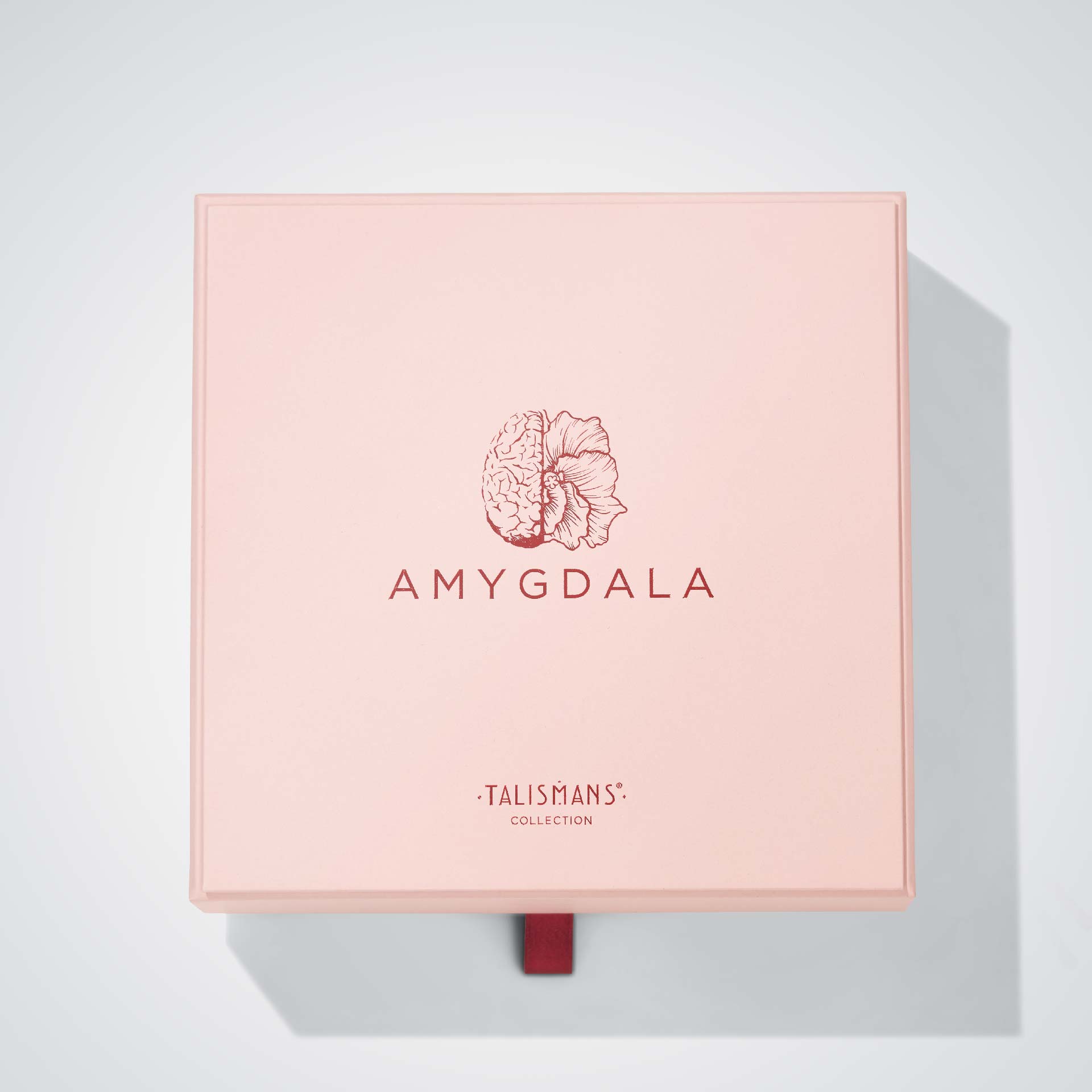 Amygdala | Mendittorosa 니치 향수 - Image 4