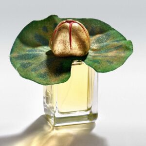 Mauna Limited Edition | Mendittorosa 니치 향수