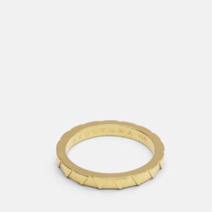 Skultuna 1607 스쿨투나 GTG Servettring - Gold Plated 스웨덴 왕실 황동 공방